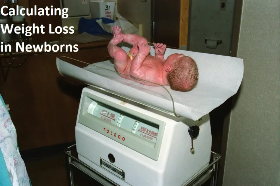 Calculating Weight Loss in Newborns